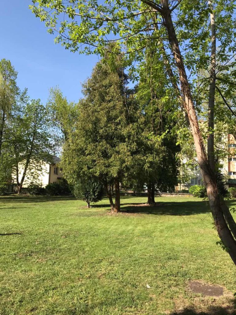 grafika promocyjna aktualności strony Miejski Ośrodek Pomocy Społecznej w Puławach