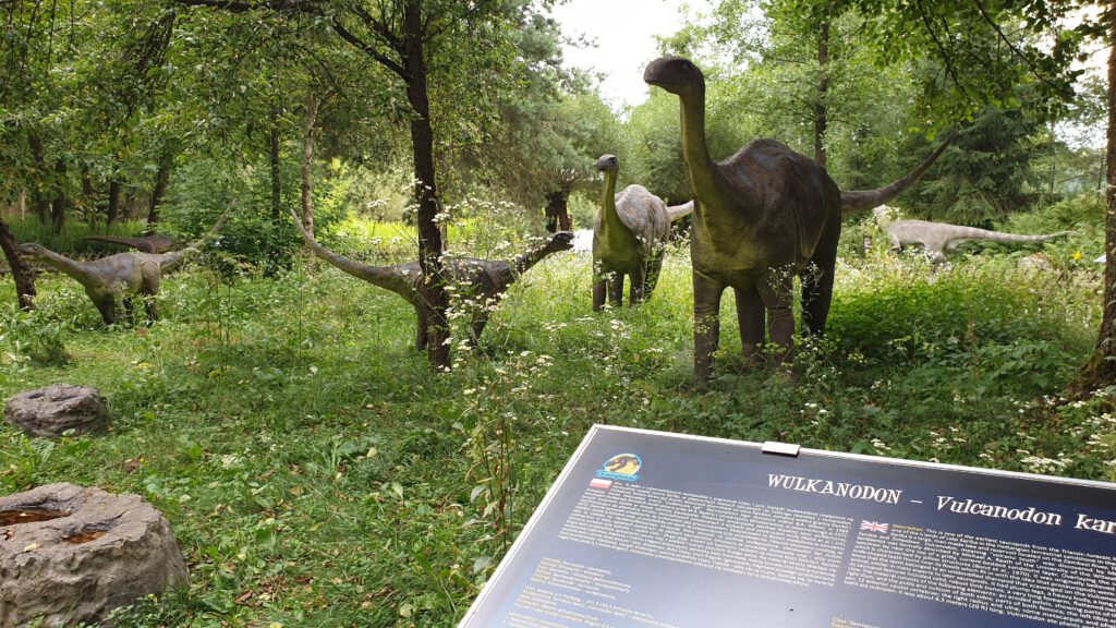 grafika promocyjna aktualności strony Miejski Ośrodek Pomocy Społecznej w Puławach