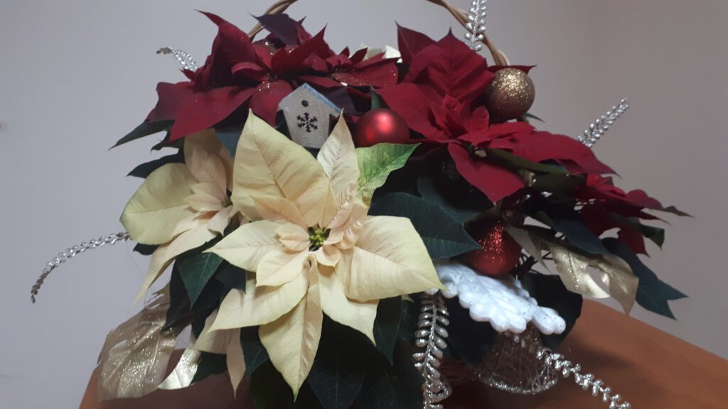 grafika promocyjna aktualności strony Miejski Ośrodek Pomocy Społecznej w Puławach