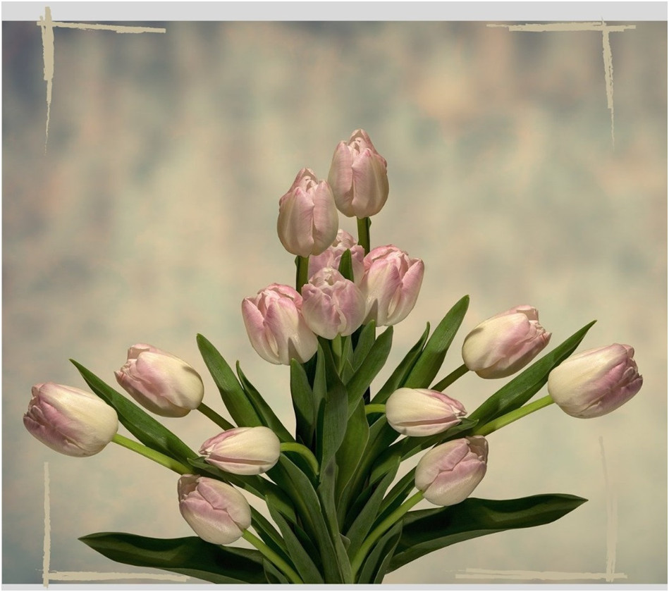 grafika promocyjna aktualności strony  Miejski Ośrodek Pomocy Społecznej  w Puławach